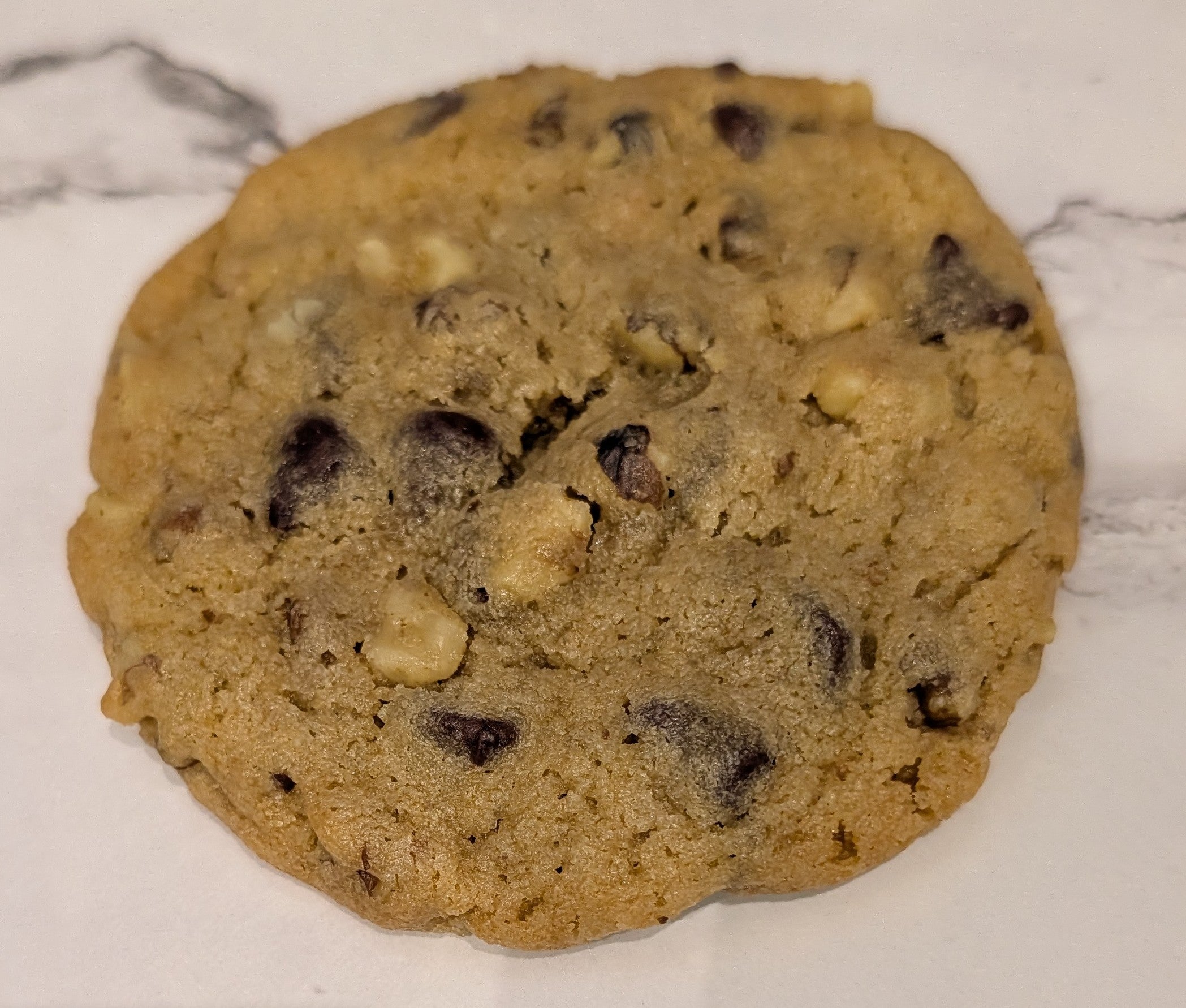 Chocolate Chip Walnut Cookies (Dozen)